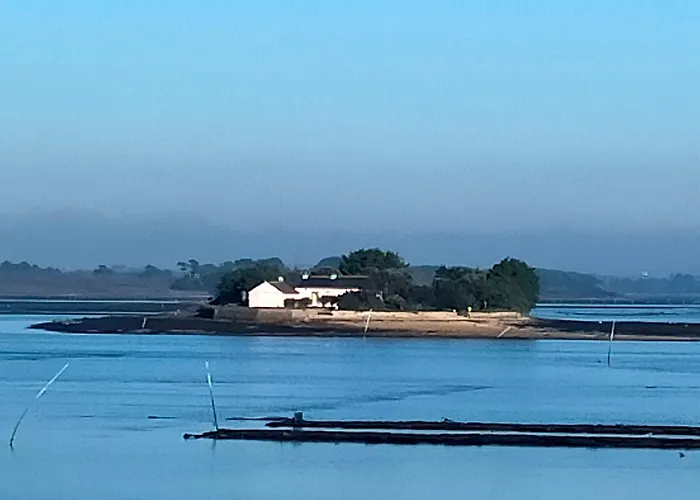 Au Calme, Les Pieds Dans L\'Eau, 106 Route De La Pointe De Ruault 56370 Sarzeau